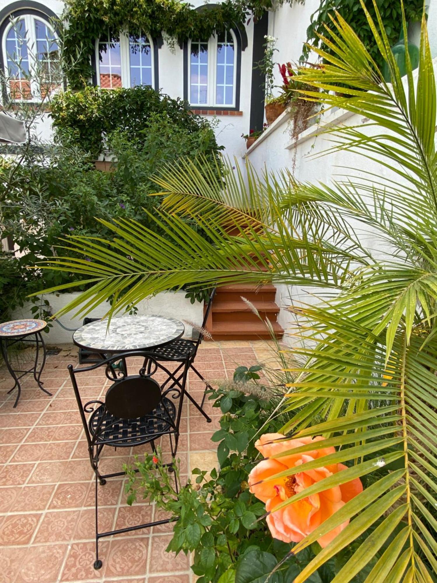 Patio Da Villa - Coruche Boutique Guest House Dış mekan fotoğraf